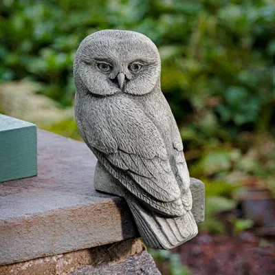 Campania International Lunar Owl - Owl Only In Grey
