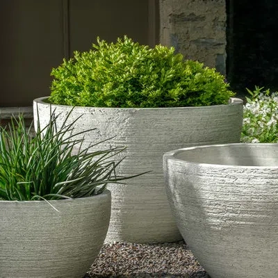 Campania International Nori Bowl, In Grey