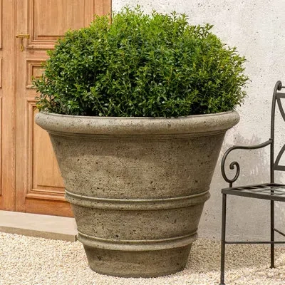 Campania International Rolled Rim Cast Stone Concrete Pot Planter In Pietra Nuova