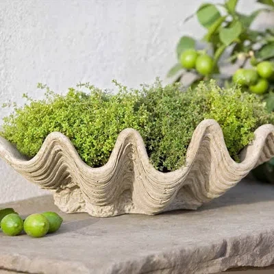 Campania International South Seas Cast Stone Pot Planter In Brownstone