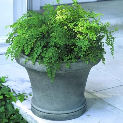 Campania International Westport Cast Stone Pot Planter In Alpine Stone
