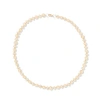 Campbell + Charlotte Revel Small Bead Necklace In Gold