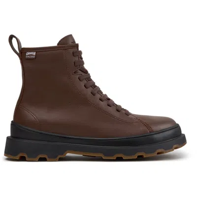 Camper Brutus+ In Brown