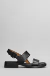 Camper Black Dana Sandals Buckle Open In Black
