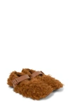 Camper Lab Gender Inclusive Wabi Faux Fur Slipper In Brown