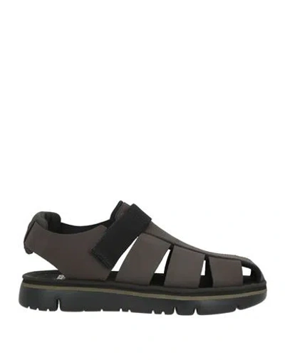 Camper Man Sandals Dark Brown Size 10 Leather