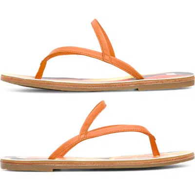 Camper Twins In Pattern