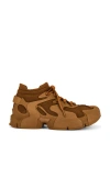 Camperlab Tossu Sneaker In Brown