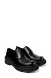 Camperlab Black Vamonos Derbys In Black