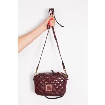 Campomaggi Bowling Bag In Wine In Brown