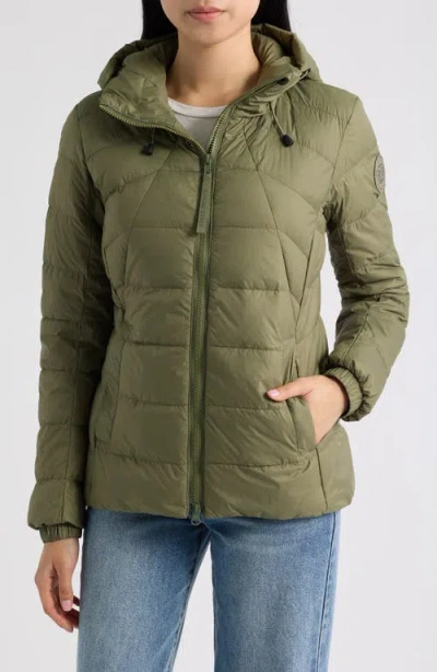 Canada Goose Abbott Hooded 625 Fill Power Down Jacket In Green