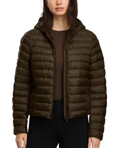 Canada Goose Aethera Down Hoodie In Green