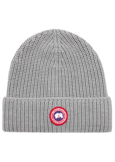 Canada Goose Arctic Disc Ribbed Wool Beanie In Grey