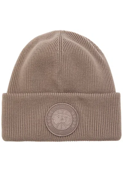 Canada Goose Arctic Ribbed Wool Beanie In Brown