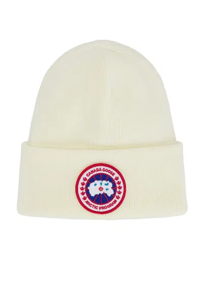 Canada Goose Arctic Toque Beanie In Cottongrass