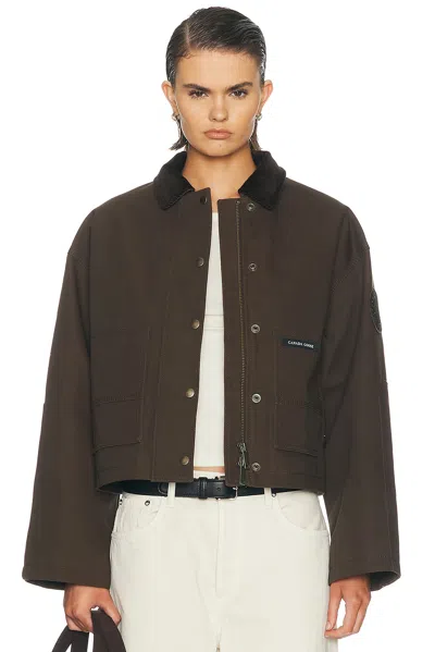Canada Goose Beaumont Jacket In Brown