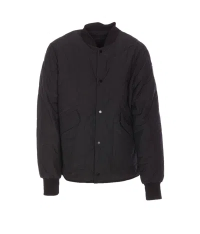 Canada Goose In Black