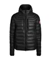 Canada Goose Black Hybridge Lite Padded Jacket In Black