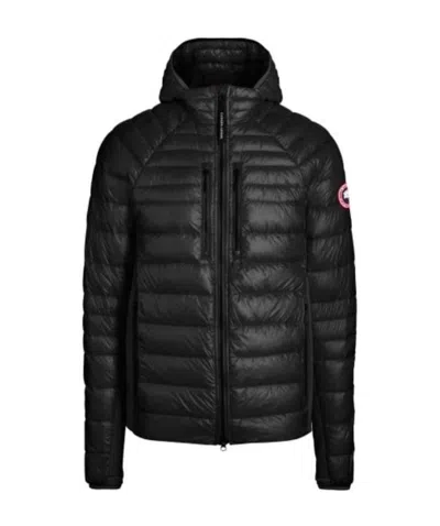 Canada Goose Black Hybridge Lite Padded Jacket