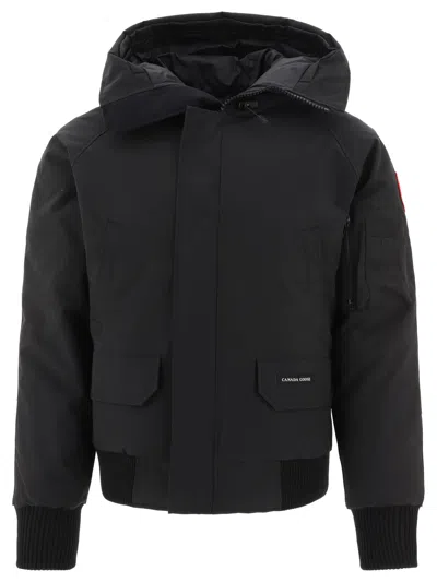 CANADA GOOSE CANADA GOOSE BOMBER JACKET "CHILLIWACK"