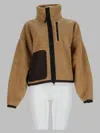 Canada Goose In Brown