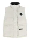 Canada Goose In White