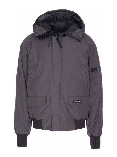 CANADA GOOSE CHAQUETA BOMBER - GRIS