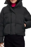 Canada Goose Chilliwack 750 Fill Power Down Puffer Jacket In Black