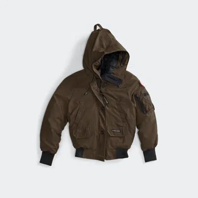 Canada Goose Chilliwack Bomber In Brown