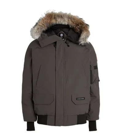 Canada Goose Chilliwack Bomber Jacket In Grey