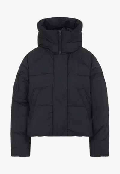 Canada Goose Chilliwack Down Jacket In Black