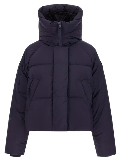 Canada Goose Chilliwack Puffer Jackets Gray In Purple