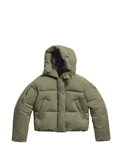 Canada Goose Chilliwack Hooded Puffer Jacket In Green