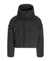 Canada Goose Quilted Puffer Jacket With High Collar In Black