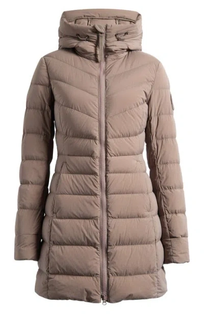 Canada Goose Clair Black Label 750 Fill Power Down Puffer Coat In Brown