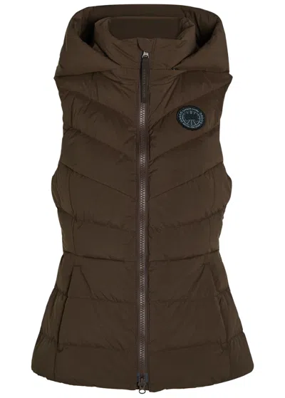Canada Goose Clair Detachable-hood Padded Shell Gilet In Brown