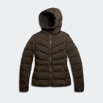 Canada Goose Clair Jacket Black Label In Brown