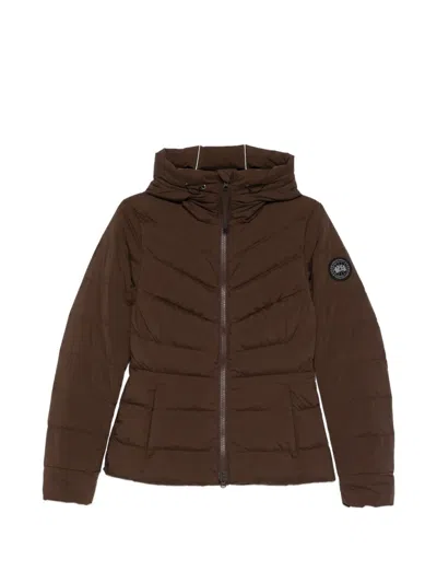 Canada Goose Clair Padded Hooded Jacket In Brown