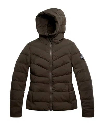 Canada Goose Clair Padded Hooded Jacket In Brown