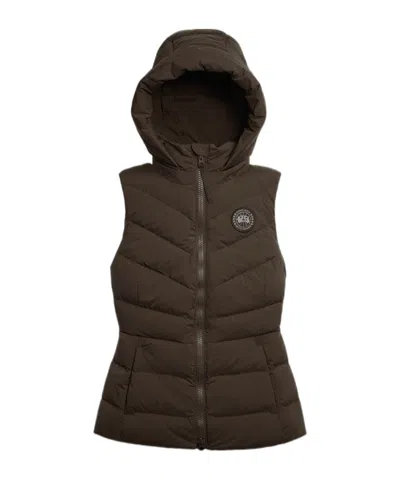 Canada Goose Clair Vest Black Label In Brown