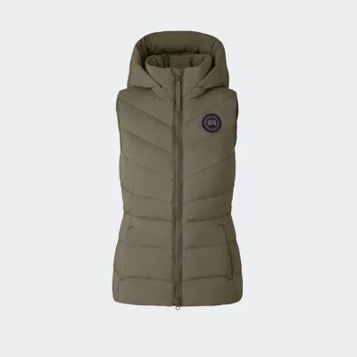 Canada Goose Clair Vest Black Label In Brown