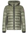 Canada Goose Crofton Hoody Recycled Nylon Down Jacket In Sagebrush