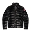 Canada Goose Padded And Quilted Nylon Jacket In Black