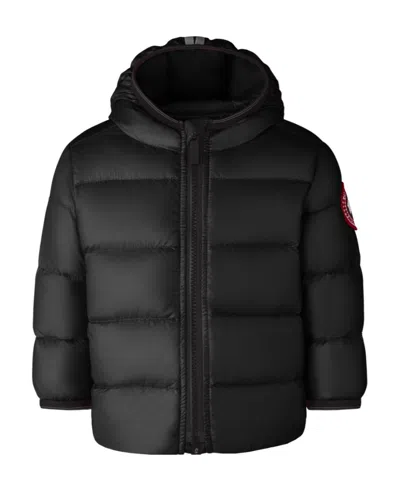 Canada Goose Crofton Padded Jacket In Black