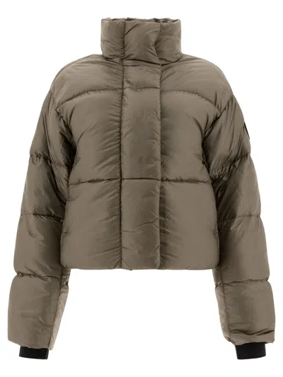 Canada Goose Cropped Down Jacket For Women In Grau