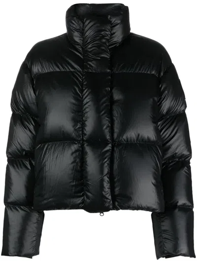 Canada Goose Womens Cypress Cropped Shell-down Puffer Jacket Black Xl