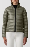 Canada Goose Cypress Jacket Black Label In Smokey Sage