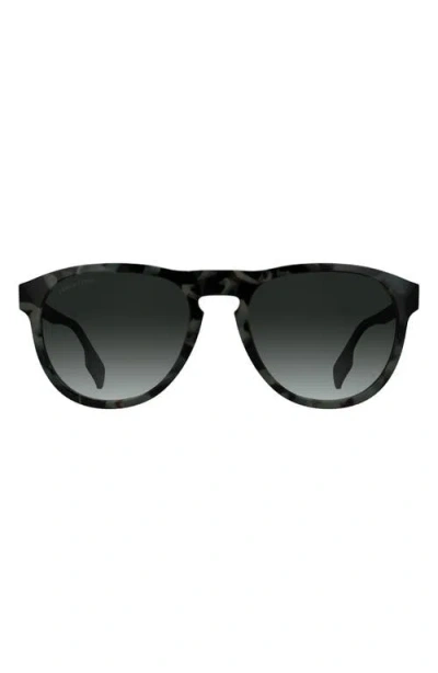 Canada Goose Disc Logo 55mm Oval Sunglasses In Black/havana Grey