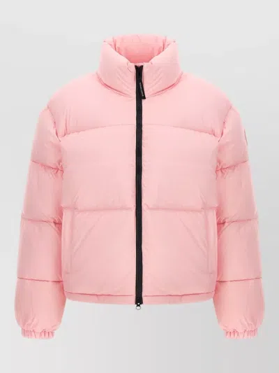 Canada Goose Down Cropped Puffer Jacket In Pink