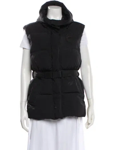 Pre-owned Canada Goose Down Down Jacket In Gray